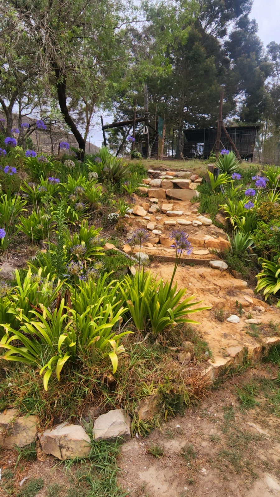 Commercial Property for Sale in Uniondale Rural Western Cape